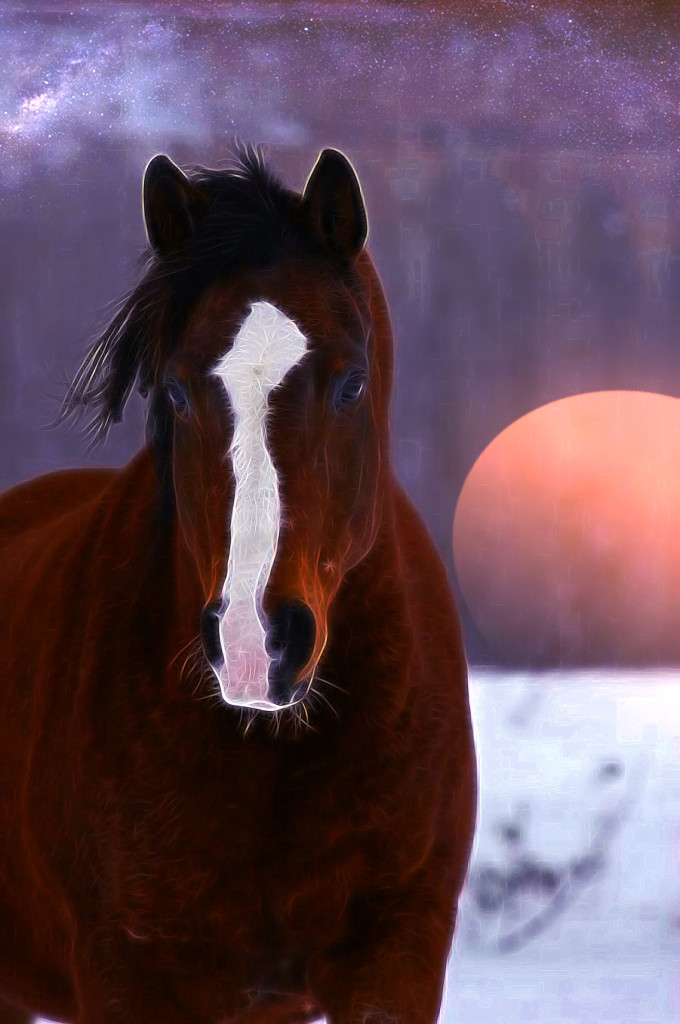 Spirit Horse - Radly